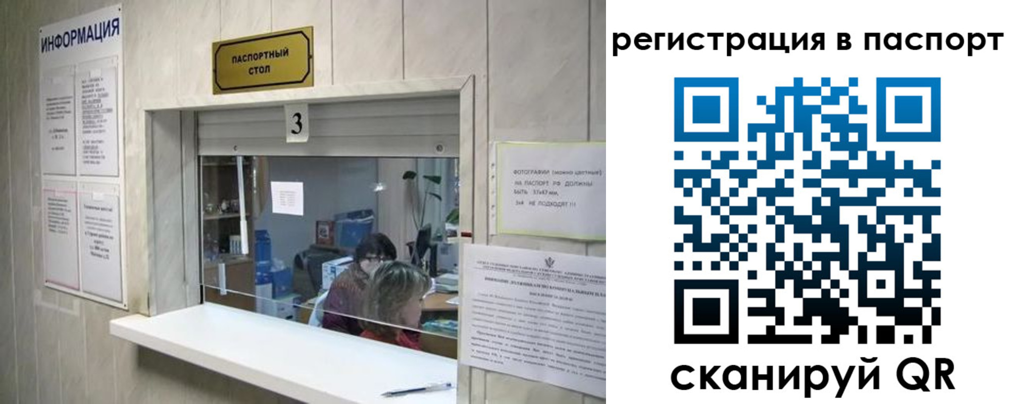 прописка поиск в Апатитах